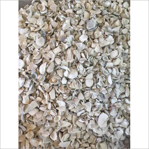 Powder Oyster Shell Calcium Carbonate