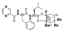 Bortezomib Intermediates