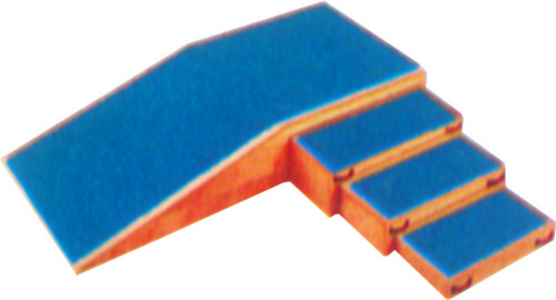EXERCISE STAIRCASE RAMP TYPE