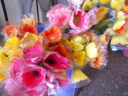 NATURAL FLOWER