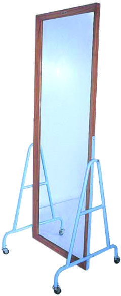 POSTURAL MIRROR