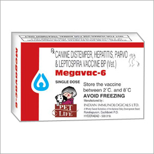 Canine vaccines
