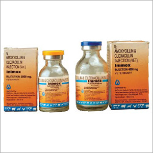 Amoxycillin and Cloxacilin injection