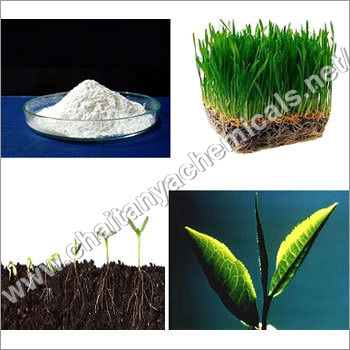 Oxygen Supplement Powder Oxygen Supplement Powder