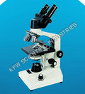 Inclined Research Microscope - Aluminum Frame, 360â° Rotatable Head, Quadruple Nosepiece, Mechanical Stage, 10x Eyepieces, Halogen Illumination | Coarse & Fine Focusing