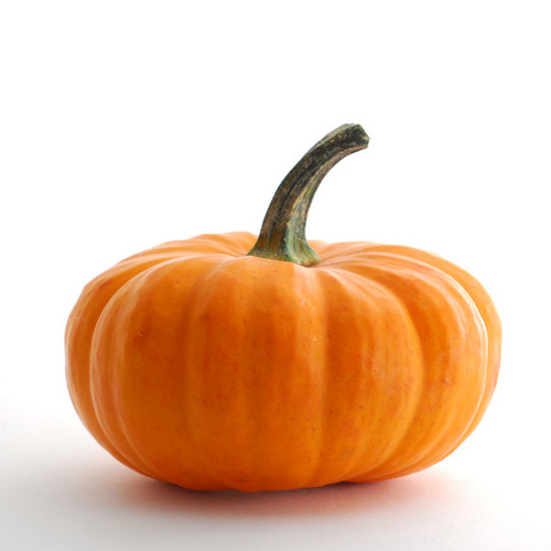 Pumpkin