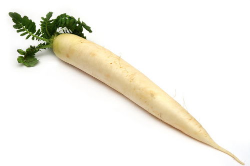 Radish