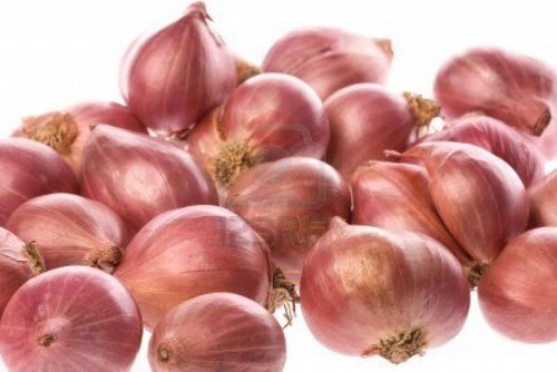 Small Onion