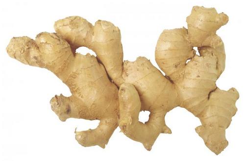 Ginger