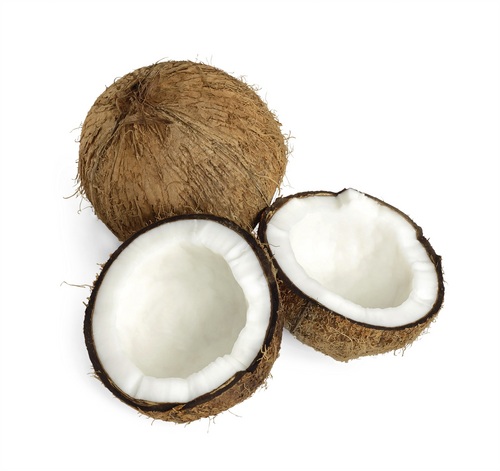 Coconut