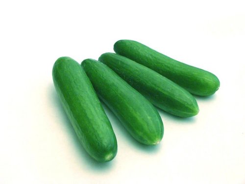 Cucumber