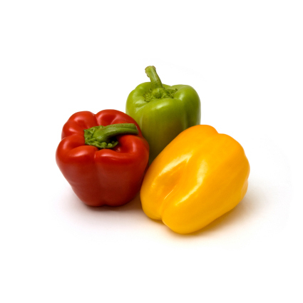 Capsicum