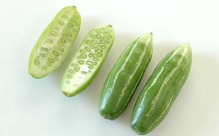 Ivy Gourd