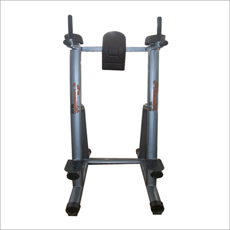 Dip Bar Leg Raise Machine