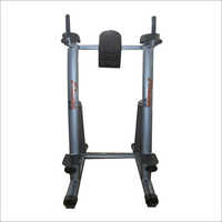 Dip Bar Leg Raise Machine