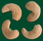Roasted Cashews