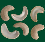 Broken Cashew Nuts