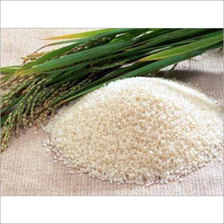 Basmati Rice India