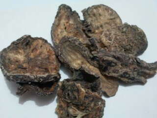 Raw Hing