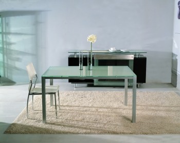 Designer Dining Table