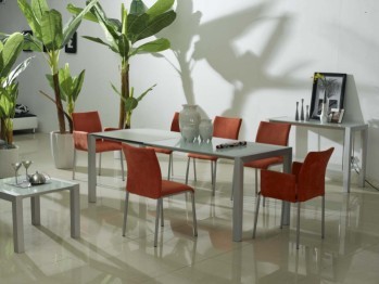 Dining Tables