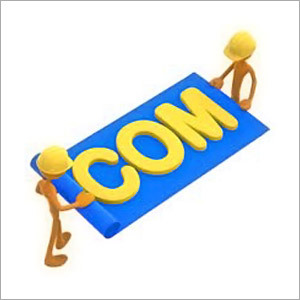 Domain Registration Services