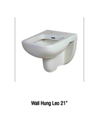 wall hung toilet