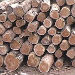 Timber Products