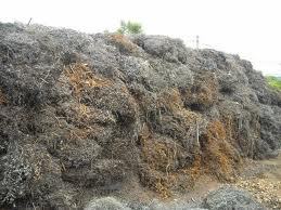 Iron Scrap