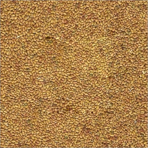 Brown Alfalfa Seed