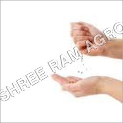 Seed