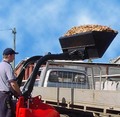 Bucket- Chipbark