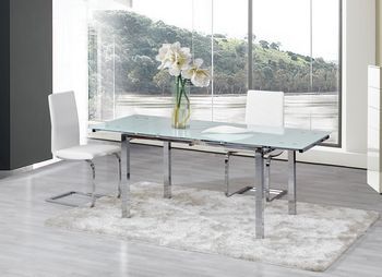 Designer Dining Table