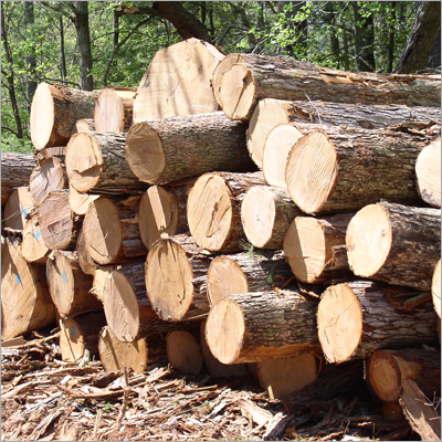 Round Teak Logs