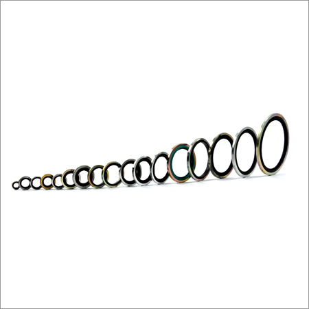 Mechanical Seals