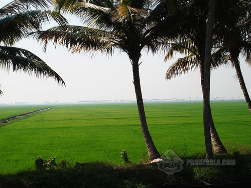 Kerala Package