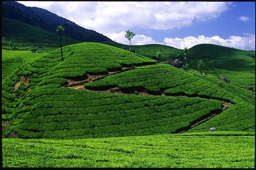 Kerala Travel Packages