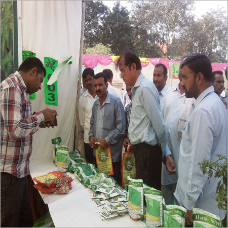 exibition