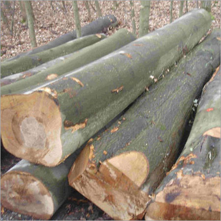 Ukrainian Wood