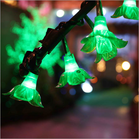 Creative Photo