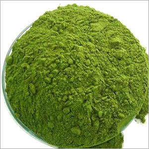 Moringa Powder
