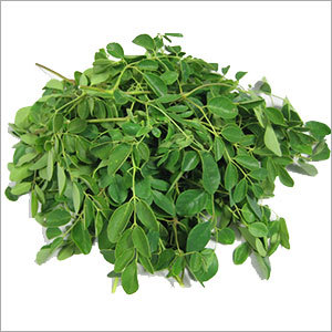 Moringa Leaf