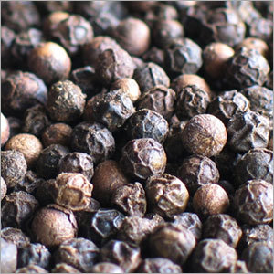 Black Pepper