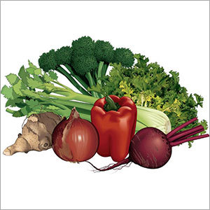 Fresh Vegetables