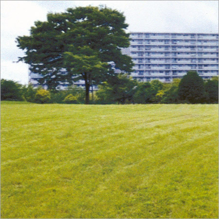 Spray Roof Insulation Services