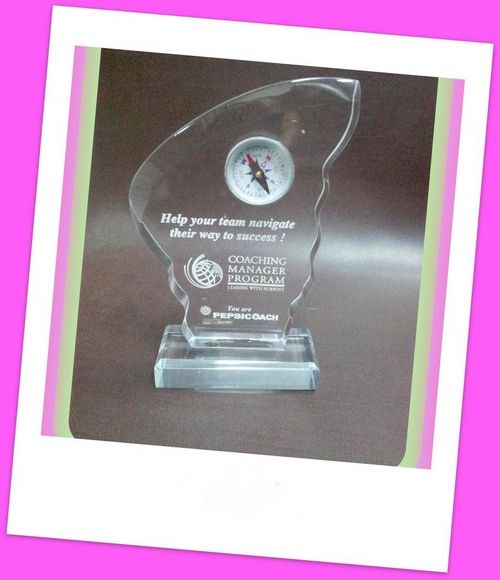 Transparent Acrylic Trophy