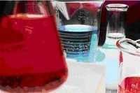 Carboxymethyl Cellulose - 99% Purity Fine Powder, Non-toxic Odorless Polymer For Coating, Thickening And Stabilizing Applications