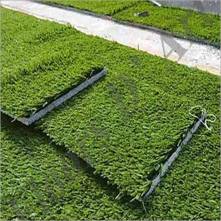Synthetic Grass Turf