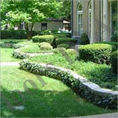 Residential Landscape By FLOOR D ART