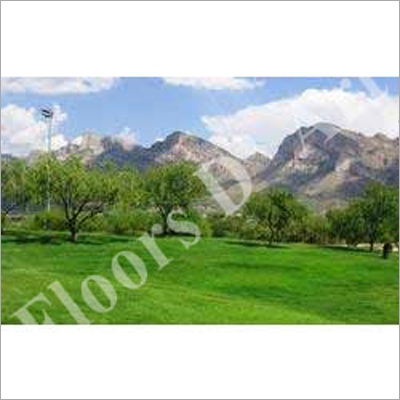 Park Landscape